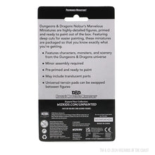 Load image into Gallery viewer, D&D Nolzurs Marvelous Miniatures: Crabfolk