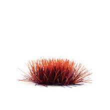 Load image into Gallery viewer, Alien Blood Moon 6mm - Wild