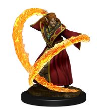 Load image into Gallery viewer, D&D Nolzurs Marvelous Miniatures: Elf Wizard Male