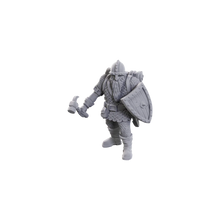 Load image into Gallery viewer, D&D Nolzurs Marvelous Miniatures: Dwarves Ltd Edition