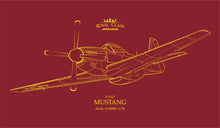 Load image into Gallery viewer, North-American P-51D MUSTANG DUAL COMBO 1:72 ROYAL CLASS