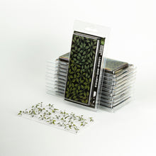Load image into Gallery viewer, Laser Plants - Lords and Ladies