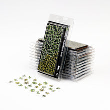 Load image into Gallery viewer, Laser Plants - Plantain Lily