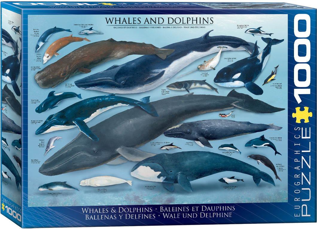 Whales and Dolphins Jigsaw Puzzle