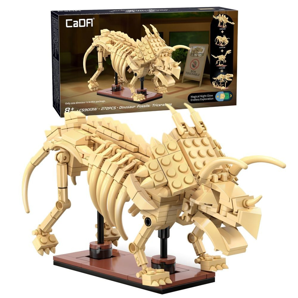 Triceratops Skeleton