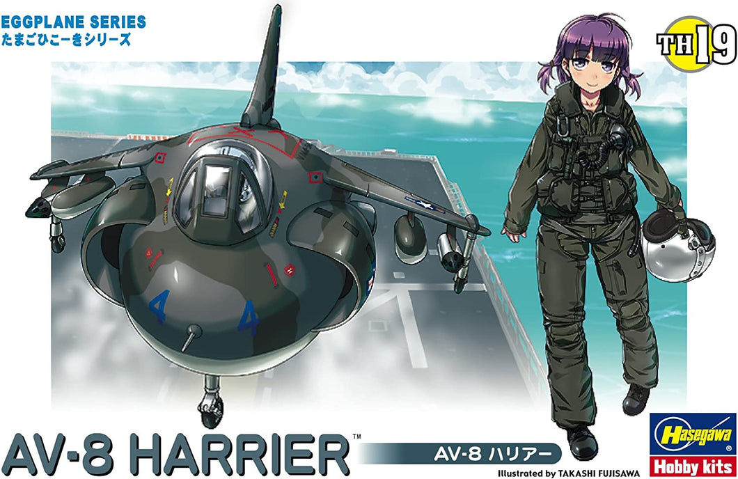 AV-8 Harrier Egg Plane