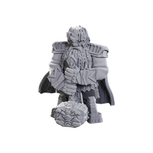Load image into Gallery viewer, D&amp;D Nolzurs Marvelous Miniatures: Male Dwarf Champion
