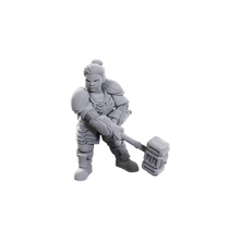 Load image into Gallery viewer, D&amp;D Nolzurs Marvelous Miniatures: Dwarves Ltd Edition
