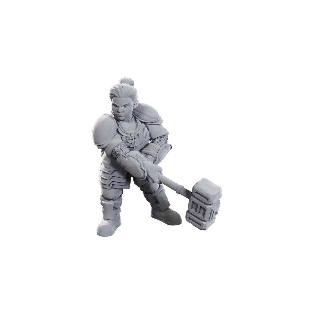 D&D Nolzurs Marvelous Miniatures: Dwarves Ltd Edition