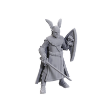 Load image into Gallery viewer, D&amp;D Nolzurs Marvelous Miniatures: Elves Ltd Edition
