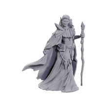 Load image into Gallery viewer, D&amp;D Nolzurs Marvelous Miniatures: Elves Ltd Edition
