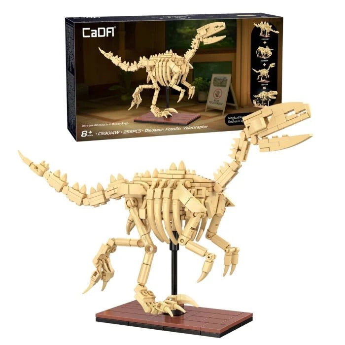 Velociraptor Skeleton