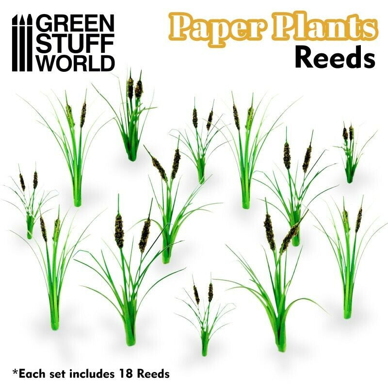 Paper Plants (Reeds)