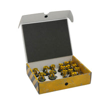 Load image into Gallery viewer, Safe and Sound - Half-size Small Box for magnetically-based miniatures + metal plate on the inside rear side of the box
