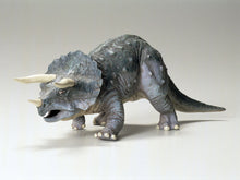 Load image into Gallery viewer, Triceratops Eurycephalus 1:35
