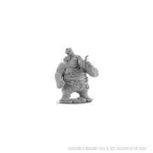 Load image into Gallery viewer, D&amp;D Nolzurs Marvelous Miniatures: Hill Giant
