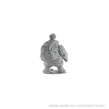 Load image into Gallery viewer, D&amp;D Nolzurs Marvelous Miniatures: Hill Giant

