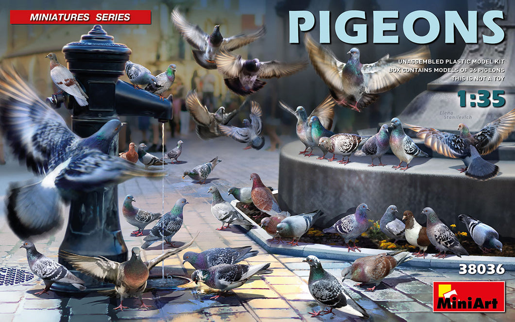 Pigeons x36 1:35