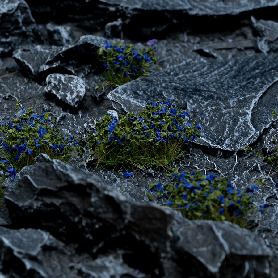 Blue Flowers - Wild