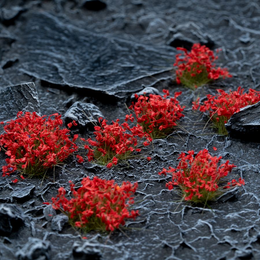 Red Flowers - Wild